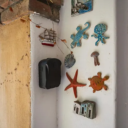 Apartmán Rokkaria